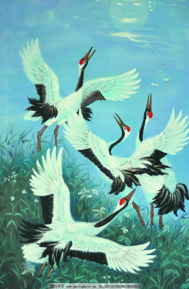 鹤舞春草图片,美术 油画 动物画 白鹤 群鹤 草地-