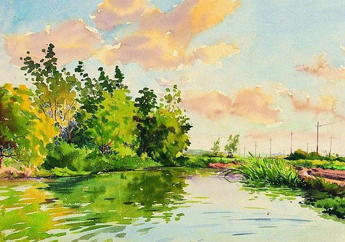 嗨翻你的业余生活 零基础画画 水彩 彩铅 素描 油画
