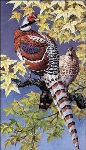 仿真动物油画的魅力 兼具艺术性与装饰性的无框画选择